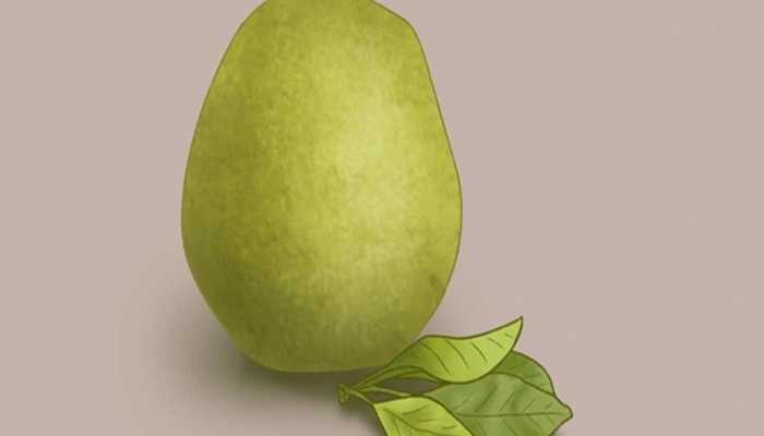 柚子皮能做什么 柚子皮有什么药用价值