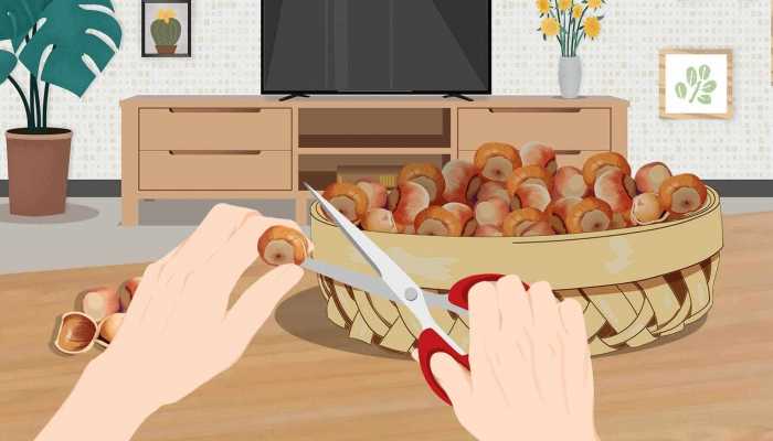 野生板栗作用与功效，野生板栗的好处