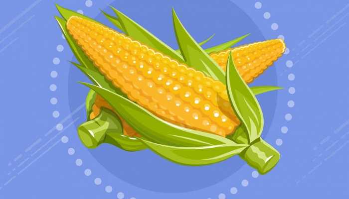 王米须的功效与作用 玉米须的好处