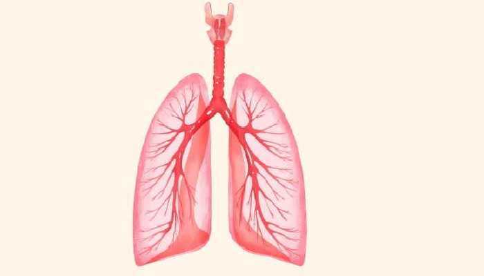 柚子皮泡蜂蜜功效是什么，柚子皮的作用