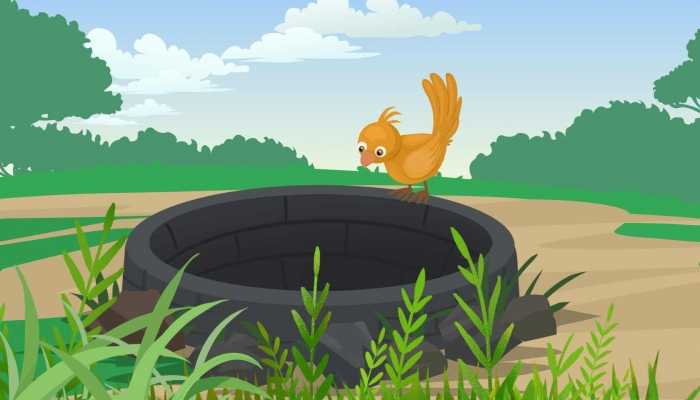 麻雀的营养价值及功效是什么，麻雀的作用