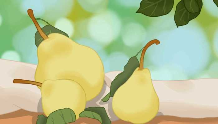 螃蟹的营养和功效 吃螃蟹不能吃什么呢