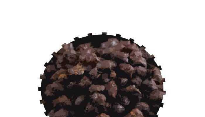 吃黑豆有什么功效？什么人不适合吃