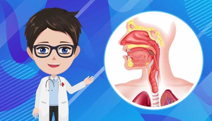 菊花晶的作用与功效，菊花晶的注意事项