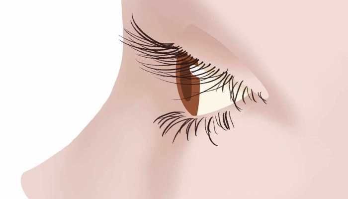 覆盆子的功效与作用，覆盆子有什么作用