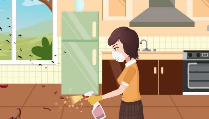 青柚子的功效，柚子的作用