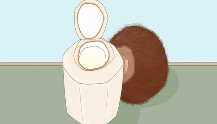 孕妇能吃椰子吗？ 孕妇吃椰子好吗？