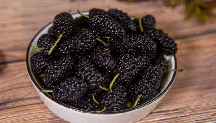 孕妇可以吃桑葚吗？ 孕妇吃桑葚有什么好处