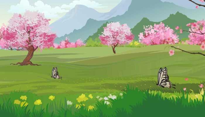 桃花喝了有什么功效，桃花的作用