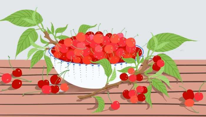 得了白颠疯病不能吃什么呢 白癜风患者可以吃什么