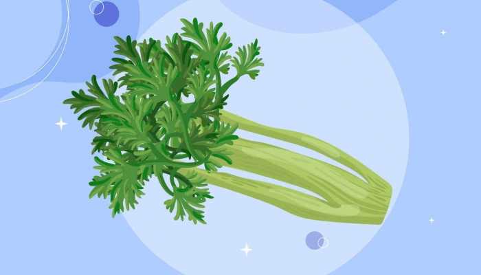 吃芹菜会变黑吗？ 如何吃芹菜不变黑