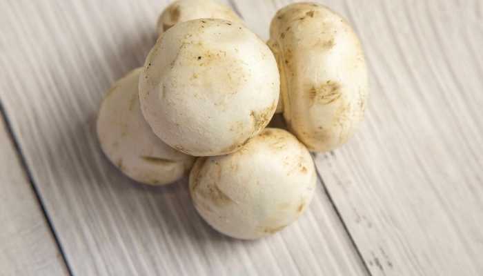 口蘑变黑还能吃吗？ 口蘑的营养价值和功效