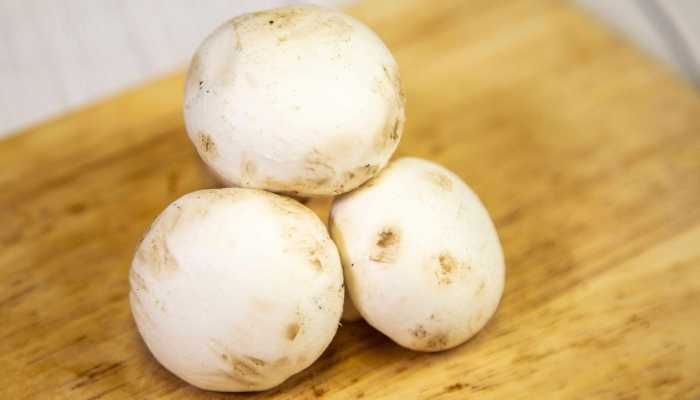 口蘑变黑还能吃吗？ 口蘑的营养价值和功效