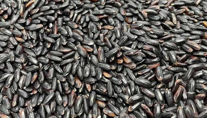 人体怎样补充黑色素，补充人体黑色素的五种食物