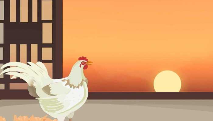 吃鸡心有什么好处 鸡心的营养价值