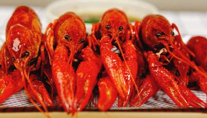 小龙虾和樱桃能一起吃吗？？那些人不能吃小龙虾？