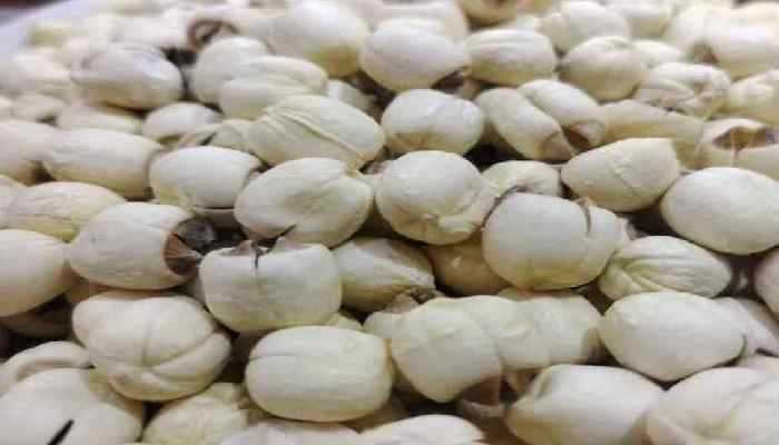 莲子心可以生吃吗？？莲子心的食用禁忌和功效