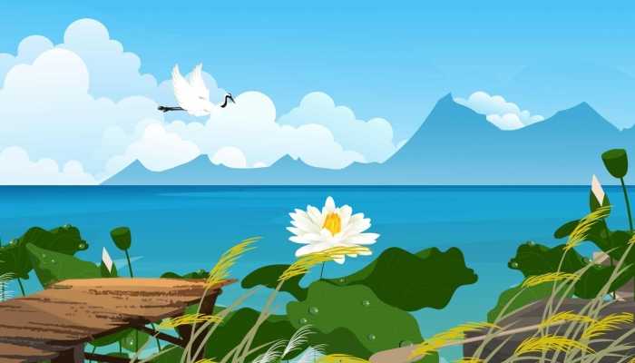 莲子生吃有什么功效，莲子能生吃吗？