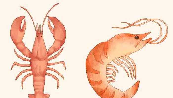 海鲜焖锅的做法，多种海鲜焖锅任选