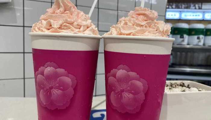 内蒙古奶茶的做法，内蒙古奶茶的历史习俗