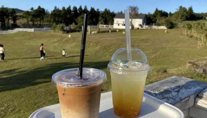 自制奶茶怎么做好喝?奶茶的不同做法