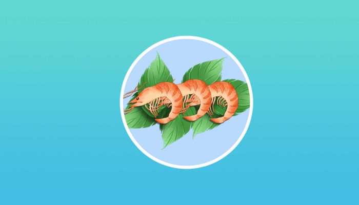 小孩吃虾有什么好处？能起到什么作用