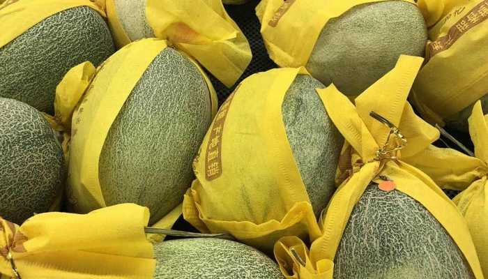 产妇吃哈密瓜回奶吗？？吃哈密瓜的注意事项