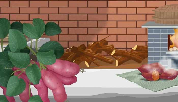 番薯西米露糖水的做法，七大步骤分享