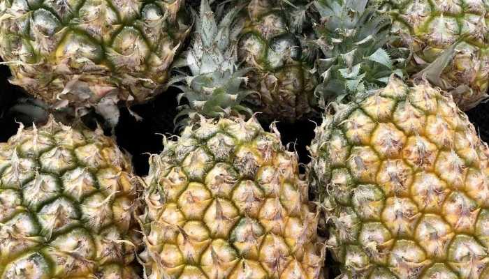 菠萝和凤梨有什么区别，如何分辨