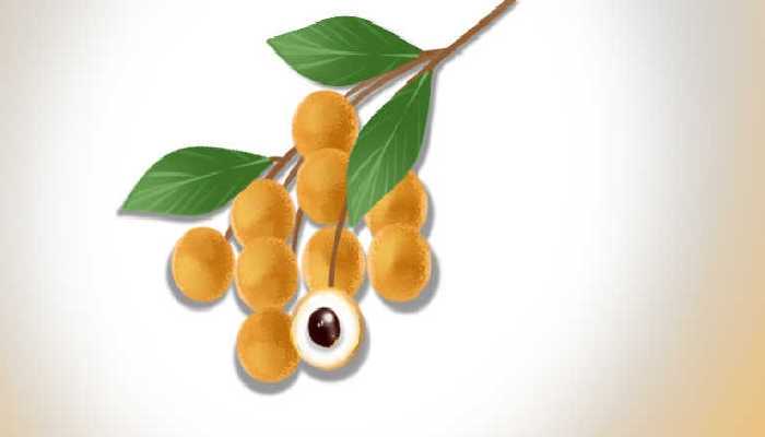 女人补肾的五谷粥配方，女人补肾怎么吃