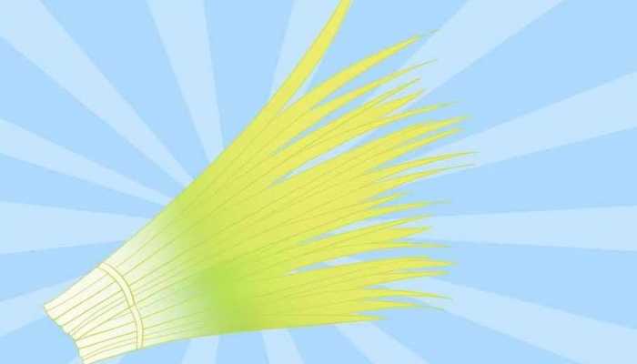 韭菜有壮阳功能吗？？壮阳吃韭菜有效果吗？