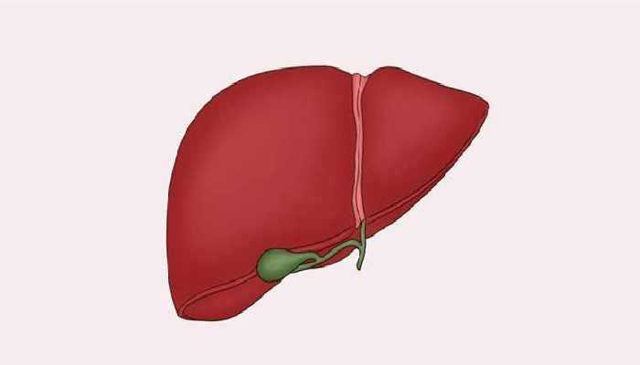 过度吃甜的害处，过度吃甜有什么害处