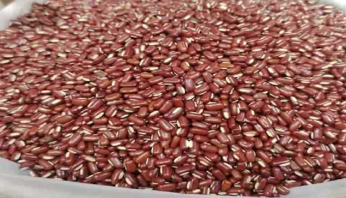 陈皮红豆的功效与作用有哪些？充分了解不吃亏