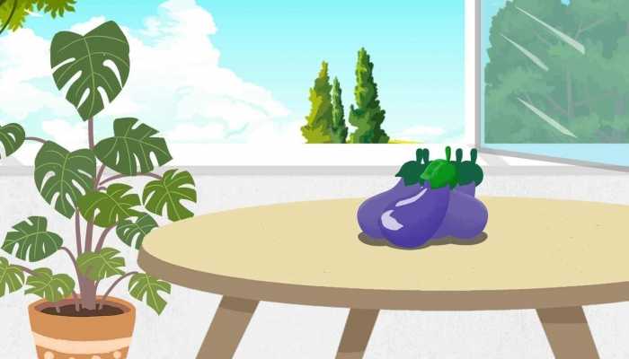 茄子怎么晒干，五大步骤让你一学就会