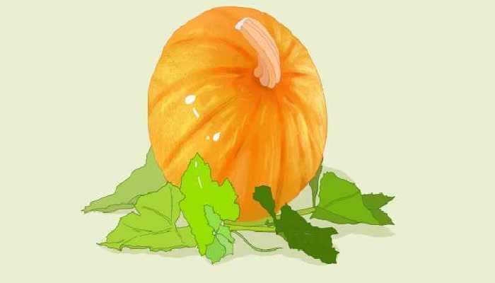 蒸南瓜的功效与作用，具体的邀你掌握