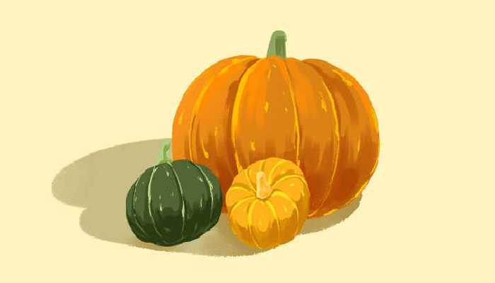 哪种南瓜糯又甜？五种品质优良