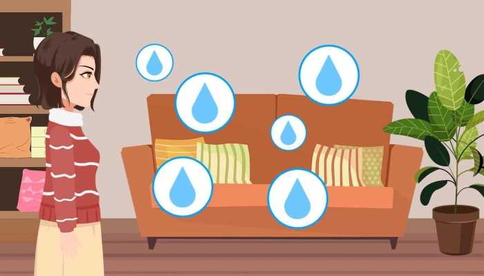 体内湿气重怎么办，这几个食疗方法可去除湿气