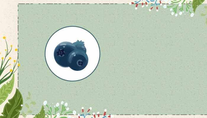 蓝莓的营养价值 什么人要多吃蓝莓