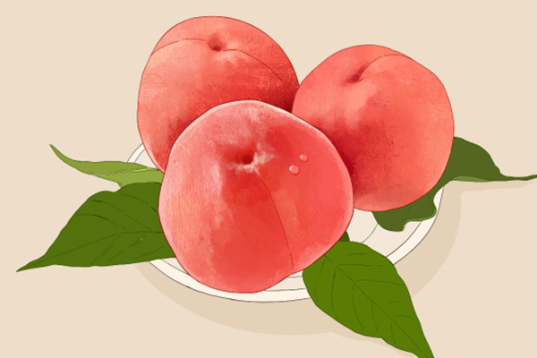 桃子的营养价值及功效 桃子食用禁忌
