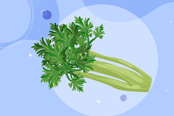 芹菜不能和什么食物一起吃 芹菜的营养成分