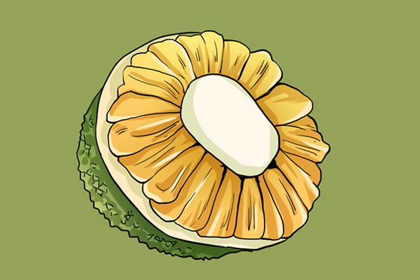 菠萝蜜的营养价值 菠萝蜜和什么不能一起吃