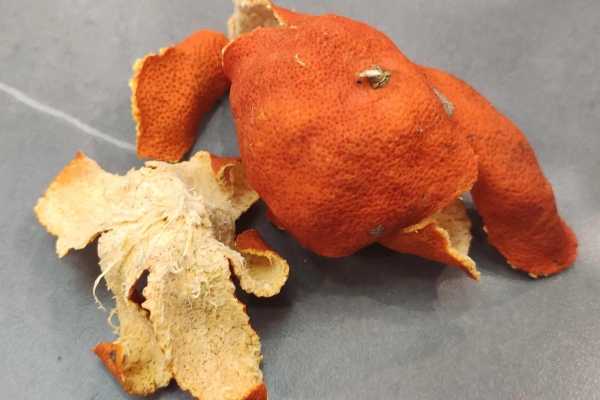 陈皮泡水喝的十大功效 不适宜喝陈皮泡水的人群