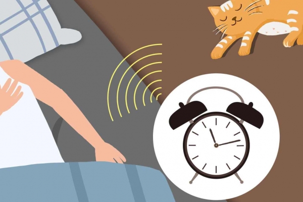 每日清晨5分钟 坚持减肥有成效