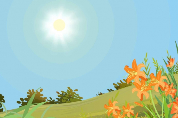 滑草运动 享受刺激减肥