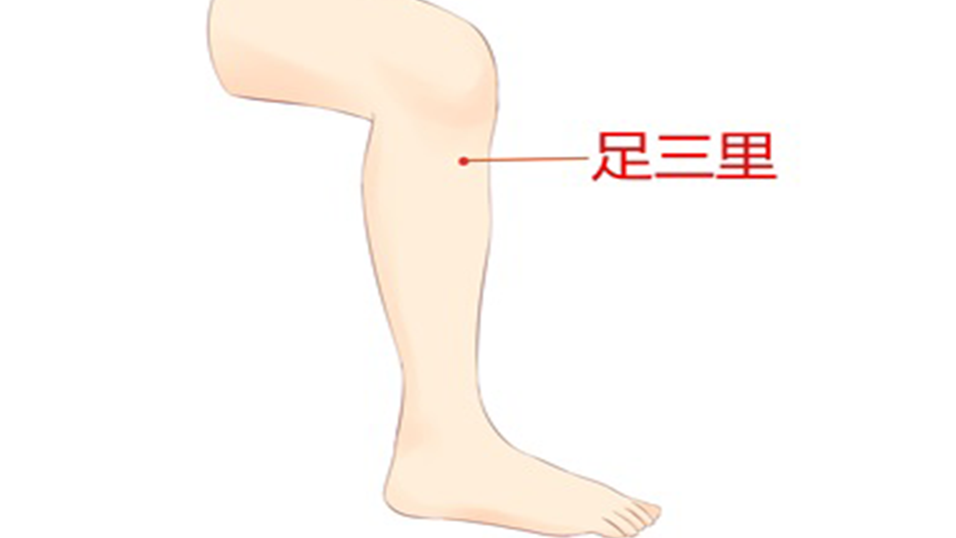 针灸减肥，到底减的是什么？