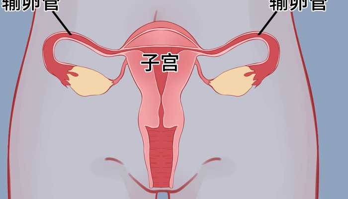 女人的卵巢怎么保养？学会这六点！