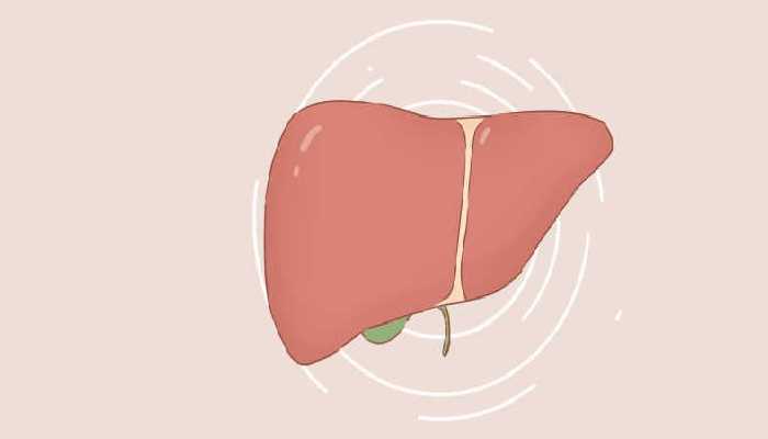五脏六腑与五行对应