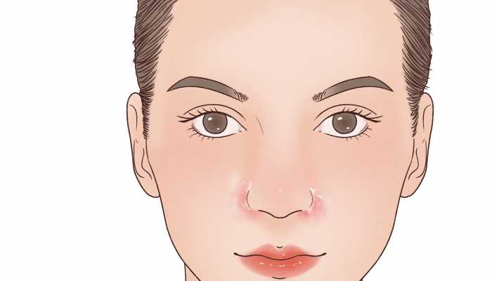 五官指什么部位器官