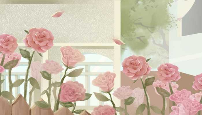 买花送的营养液怎么用