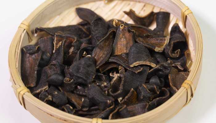 蚂蝗吃什么东西